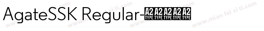 AgateSSK Regular字体转换